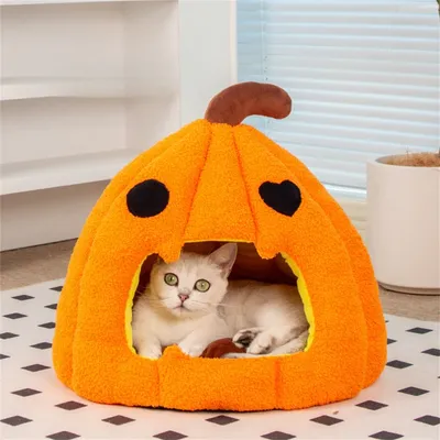 IntiMeg Panier pour Chat Citrouille d'Halloween