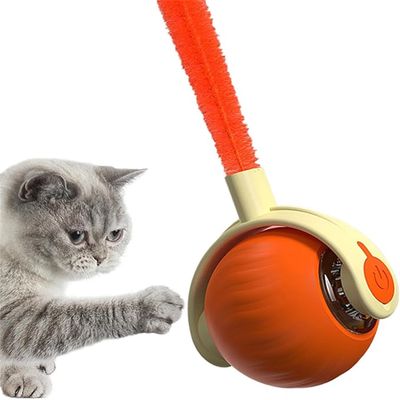 IntiMeg Jouet - Balle interactive pour chien et chat