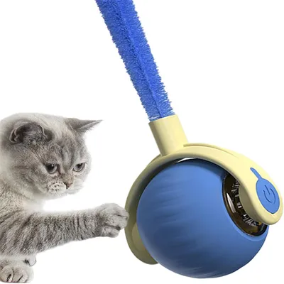 IntiMeg Jouet - Balle interactive pour chien et chat