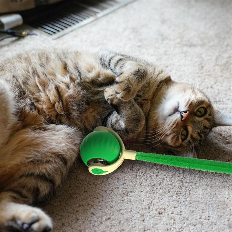 IntiMeg Jouet - Balle interactive pour chien et chat