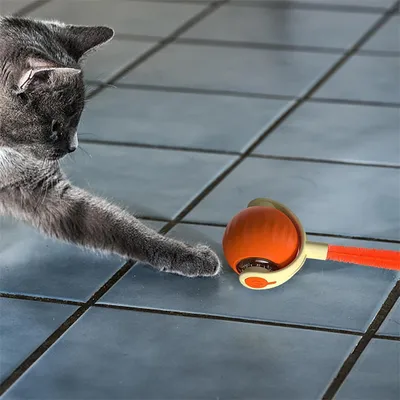 IntiMeg Jouet - Balle interactive pour chien et chat