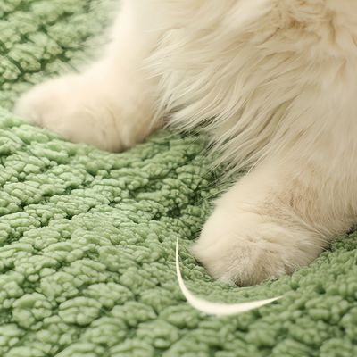 FurryFusion Lit semi-fermé pour chat en forme de grenouille