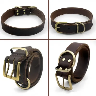 FurryFusion Collier en cuir pour chien