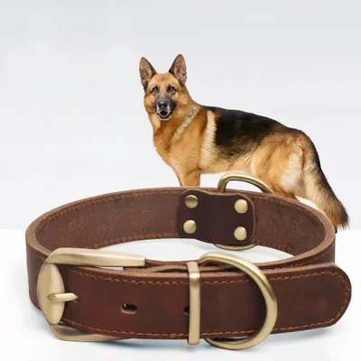 FurryFusion Collier en cuir pour chien