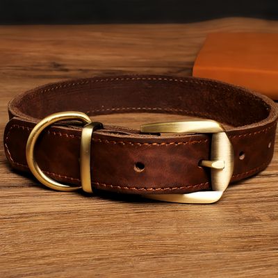 FurryFusion Hundehalsband aus Leder