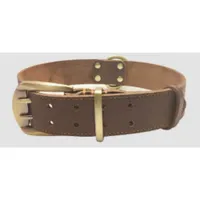 FurryFusion Collier en cuir pour chien