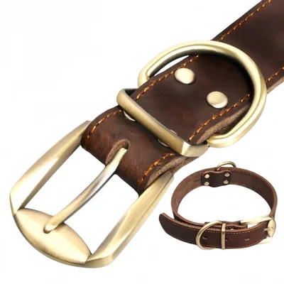 FurryFusion Collier en cuir pour chien