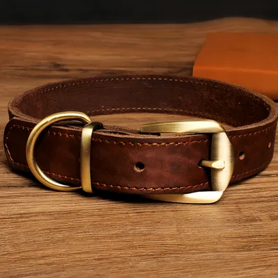 FurryFusion Collier en cuir pour chien