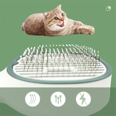 IntiMeg Brosse électrique auto - nettoyante pour chien et chat