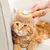 IntiMeg Brosse auto - nettoyante pour chien et chat