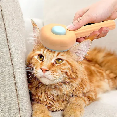 IntiMeg Brosse auto - nettoyante pour chien et chat