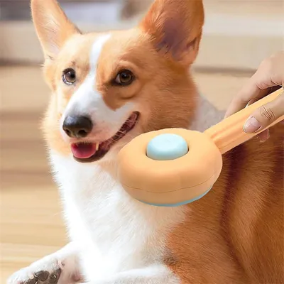 IntiMeg Brosse auto - nettoyante pour chien et chat
