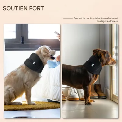 IntiMeg Collier de récupération pour chien
