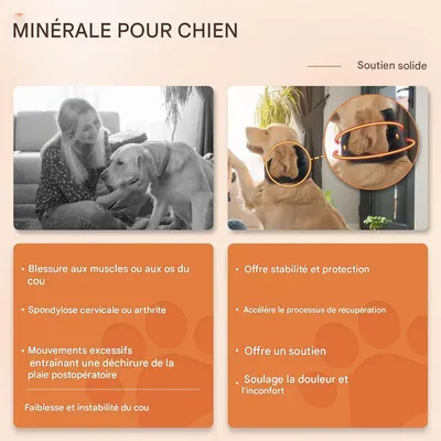 IntiMeg Collier de récupération pour chien