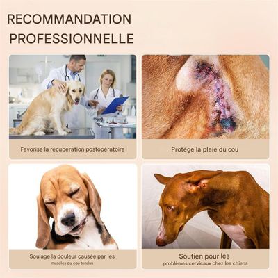 IntiMeg Collier de récupération pour chien
