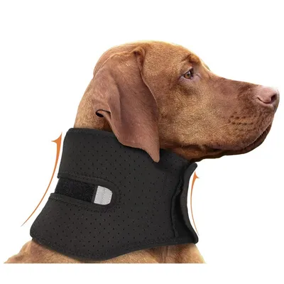 IntiMeg Collar de recuperación para perros
