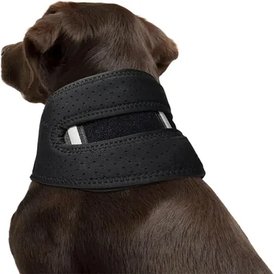 IntiMeg Collier de récupération pour chien