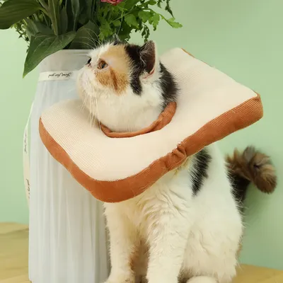 FurryFusion Collier anti-léchage pour chat et chien Bread
