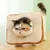FurryFusion Collier anti-léchage pour chat et chien Bread