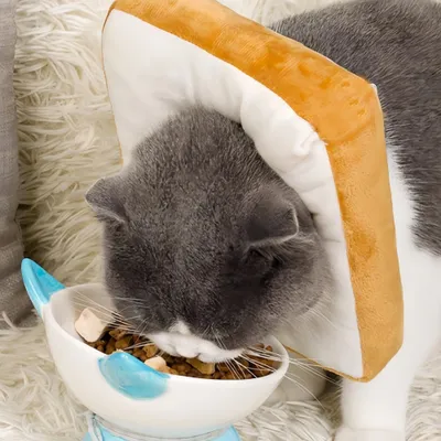 FurryFusion Collier anti-léchage pour chat et chien Bread
