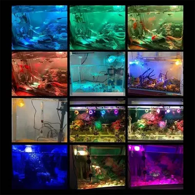 IntiMeg Lumières LED colorées pour aquarium