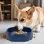 IntiMeg Bol anti - glouton pour chien - bleu marine IntiMeg Bol anti - glouton pour chien - bleu marine