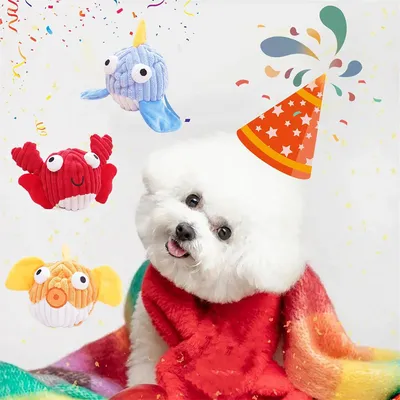 IntiMeg Bol anti - glouton pour chien - bleu marine