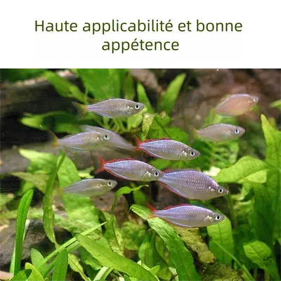 IntiMeg 135g Aliment pour Petits Poissons Tropicaux