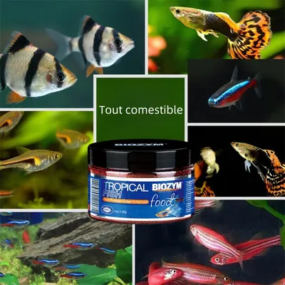 IntiMeg 135g Aliment pour Petits Poissons Tropicaux