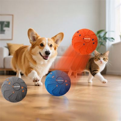 IntiMeg Jouet - Balle interactive électronique pour chien
