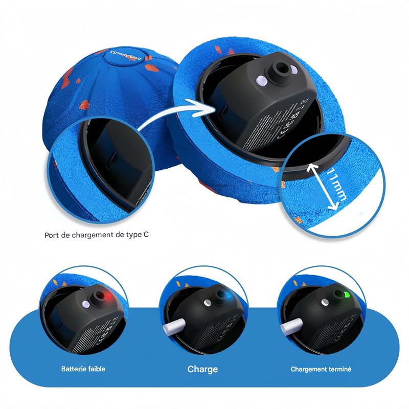 IntiMeg Jouet - Balle interactive électronique pour chien
