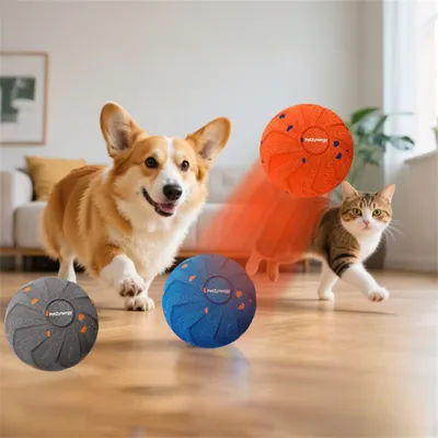 IntiMeg Jouet - Balle interactive électronique pour chien