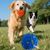 IntiMeg Jouet - Balle interactive électronique pour chien