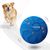 IntiMeg Jouet - Balle interactive électronique pour chien
