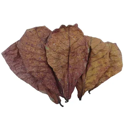 IntiMeg 20 hojas de almendro, Reduce la acidez