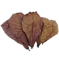 IntiMeg 20 hojas de almendro, Reduce la acidez