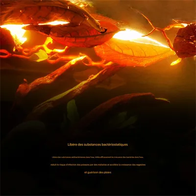 IntiMeg 20 morceaux de feuilles d'amandier, Réduire l'acidité