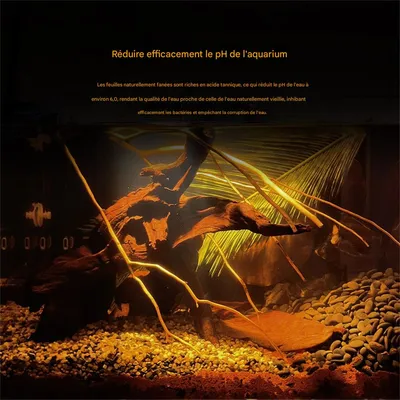 IntiMeg 20 morceaux de feuilles d'amandier, Réduire l'acidité