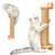 IntiMeg 54cm Arbre à chat mural pour chats et chatons