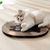 FurryFusion Griffeuse pour chat autocollante