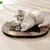 FurryFusion Griffeuse pour chat autocollante FurryFusion Griffeuse pour chat autocollante