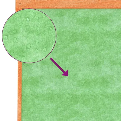 vidaXL chenil pour chiens Bois de pin