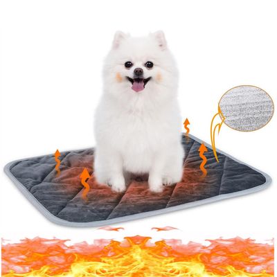 IntiMeg Tapis Auto - chauffant pour chat en chien
