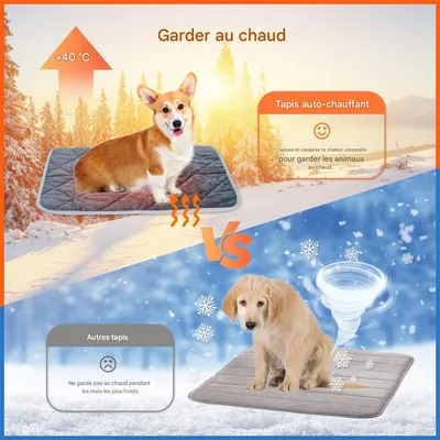 IntiMeg Tapis Auto - chauffant pour chat en chien