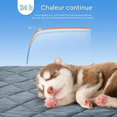 IntiMeg Tapis Auto - chauffant pour chat en chien