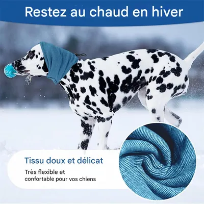 IntiMeg Cache-oreilles Doux et Anti-bruit pour chiens