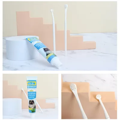 FurryFusion Kit dentifrice et brosse pour chiens et chats