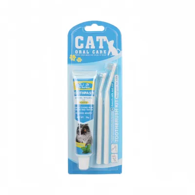 FurryFusion Kit dentifrice et brosse pour chiens et chats