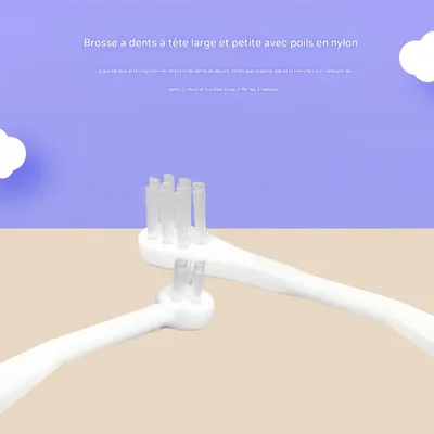 FurryFusion Kit dentifrice et brosse pour chiens et chats