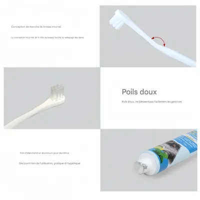FurryFusion Kit dentifrice et brosse pour chiens et chats